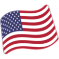 flag: United States on platform Google