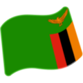 flag: Zambia on platform Google