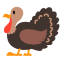 turkey on platform Google