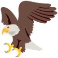 eagle on platform Google