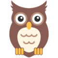 owl on platform Google