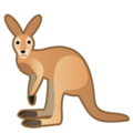 kangaroo on platform Google