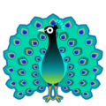 peacock on platform Google