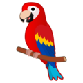 parrot on platform Google