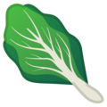 leafy green on platform Google