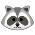 raccoon on platform Google