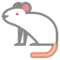 🐁