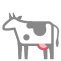 cow on platform HTC