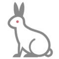 rabbit on platform HTC