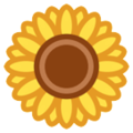 sunflower on platform HTC
