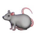rat on platform HuaWei