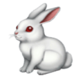 rabbit on platform HuaWei