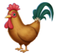 rooster on platform HuaWei