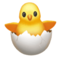 hatching chick on platform HuaWei