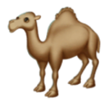 camel on platform HuaWei