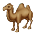 two-hump camel on platform HuaWei