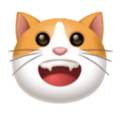 grinning cat on platform HuaWei