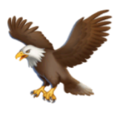 eagle on platform HuaWei