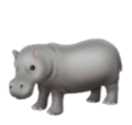 hippopotamus on platform HuaWei