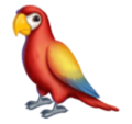 parrot on platform HuaWei