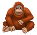 orangutan on platform HuaWei