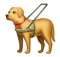 guide dog on platform HuaWei