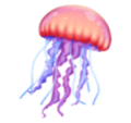 jellyfish on platform HuaWei