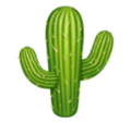 cactus on platform HuaWei