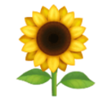 sunflower on platform HuaWei