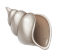 shell on platform HuaWei