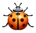 ladybug on platform HuaWei