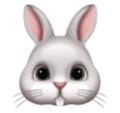 rabbit on platform HuaWei