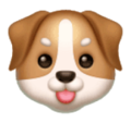 dog face on platform HuaWei