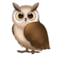 owl on platform HuaWei