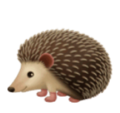 hedgehog on platform HuaWei