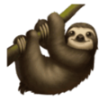 sloth on platform HuaWei