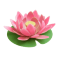 lotus on platform HuaWei