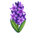 hyacinth on platform HuaWei