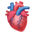 anatomical heart on platform HuaWei