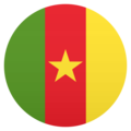 flag: Cameroon on platform JoyPixels