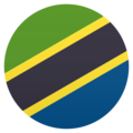 flag: Tanzania on platform JoyPixels