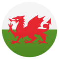 flag: Wales on platform JoyPixels