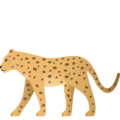 leopard on platform JoyPixels