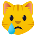 crying cat on platform JoyPixels