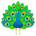 peacock on platform JoyPixels