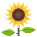 sunflower on platform JoyPixels