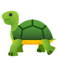 turtle on platform JoyPixels