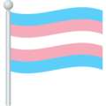 transgender flag on platform JoyPixels