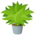 potted plant on platform JoyPixels