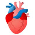anatomical heart on platform JoyPixels